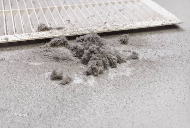 Best Residential Air Duct Cleaning  in Aiea, HI