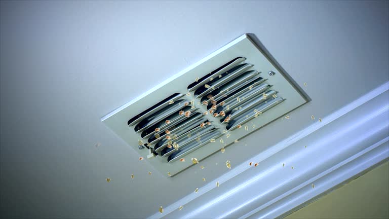 Best Local Air Duct Cleaning Services  in Aiea, HI