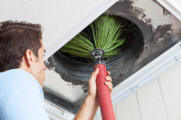 Best Emergency Air Duct Cleaning  in Aiea, HI
